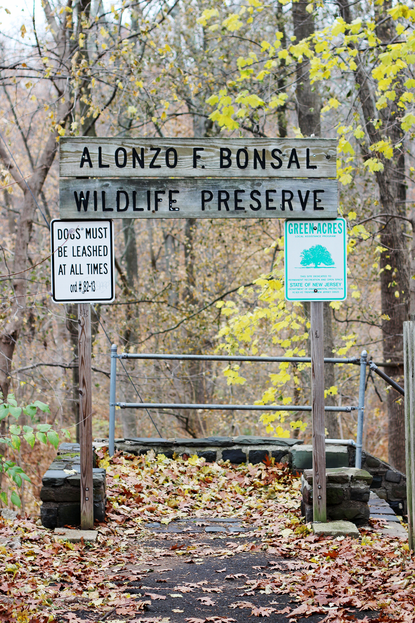 Friends of Bonsal Preserve raise concerns over planned tree cutting