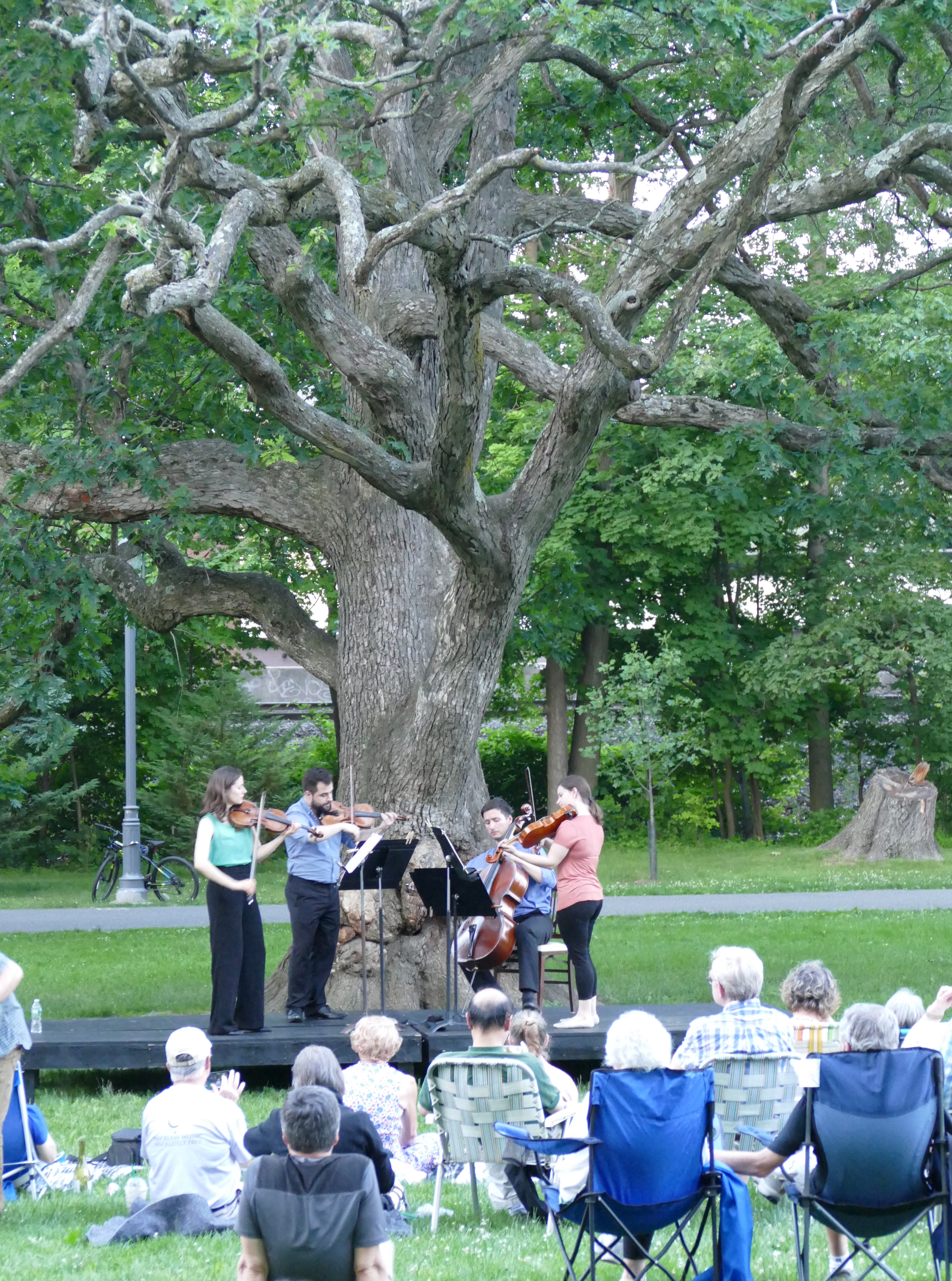 Culture in brief: Chamber Music in Anderson Park