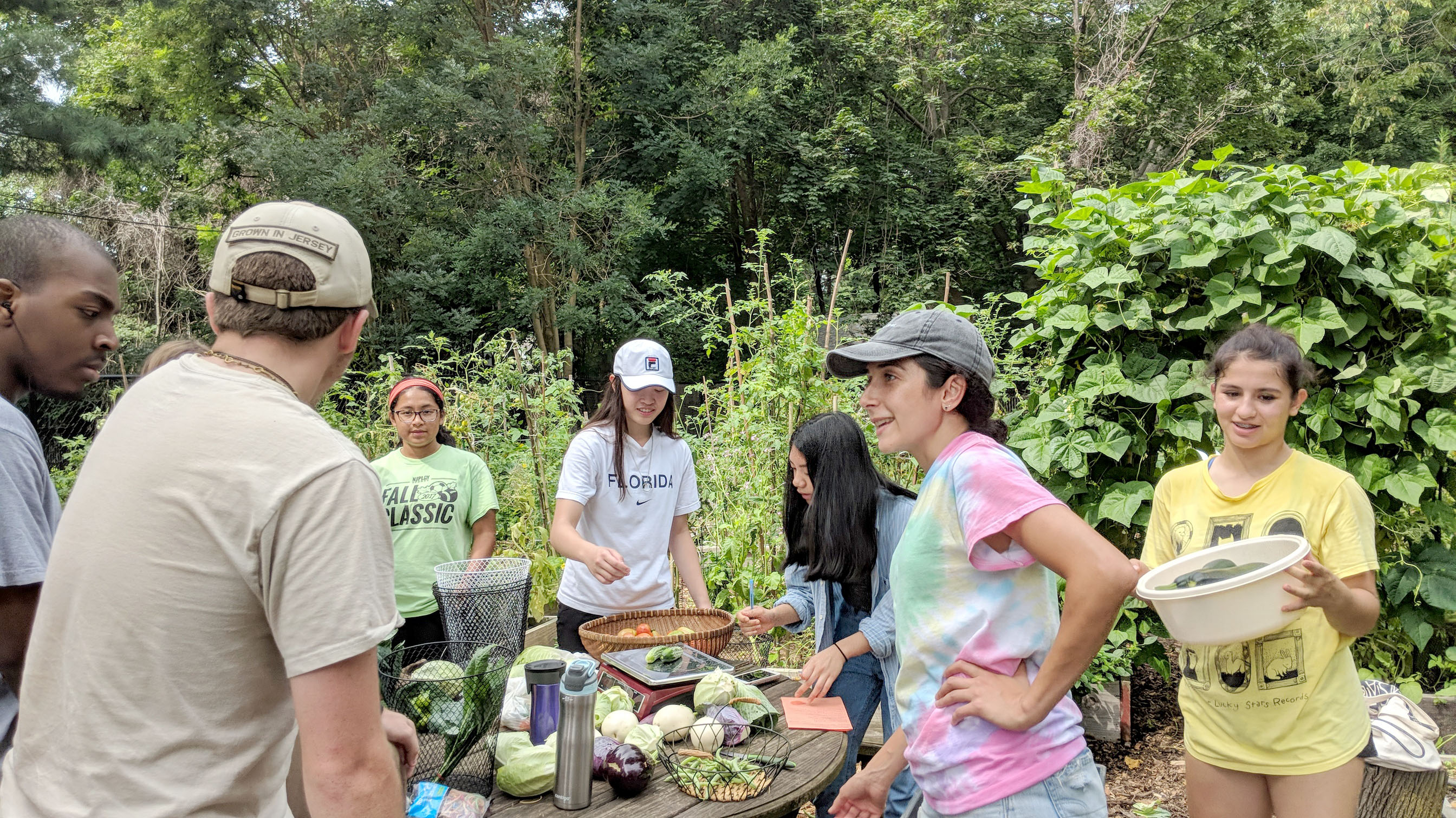 Montclair Community Farms project continues to bear fruit